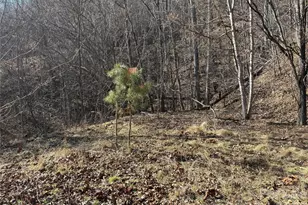 00 Brush Creek Rd, Bryson City, NC 28713 - Photo 6