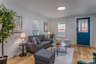 165 Kings Mill Rd, Brevard, NC 28712 - Photo 2