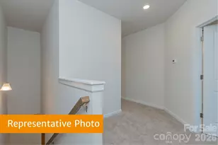 6112 Jasmine Br Rd, Charlotte, NC 28216 - Photo 24