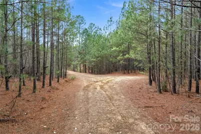 00 Woods Ferry Road, Carlisle, SC 29013 - Photo 6
