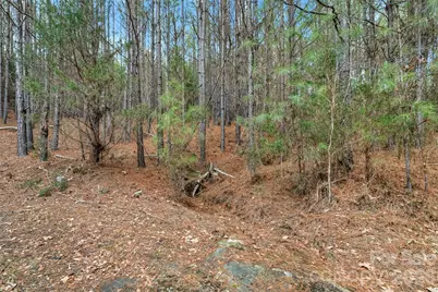 00 Woods Ferry Road, Carlisle, SC 29013 - Photo 42