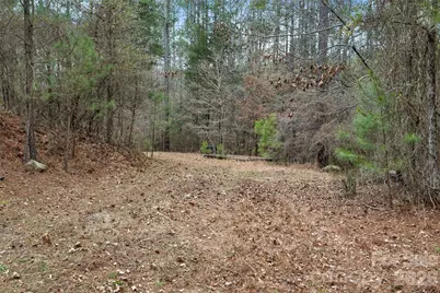 00 Woods Ferry Road, Carlisle, SC 29013 - Photo 14