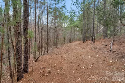 00 Woods Ferry Road, Carlisle, SC 29013 - Photo 40