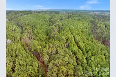 00 Woods Ferry Road, Carlisle, SC 29013 - Photo 8