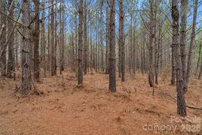 00 Woods Ferry Road, Carlisle, SC 29013 - Photo 38