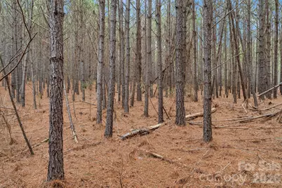 00 Woods Ferry Road, Carlisle, SC 29013 - Photo 28