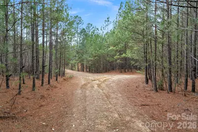 00 Woods Ferry Road, Carlisle, SC 29013 - Photo 30