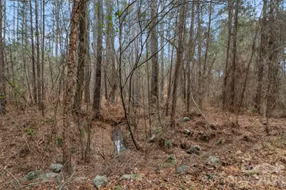 00 Woods Ferry Road, Carlisle, SC 29013 - Photo 22