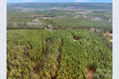 00 Woods Ferry Road, Carlisle, SC 29013 - Photo 46