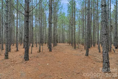 00 Woods Ferry Road, Carlisle, SC 29013 - Photo 10