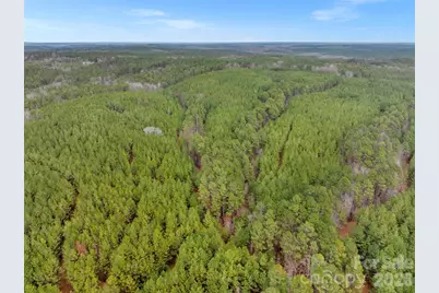 00 Woods Ferry Road, Carlisle, SC 29013 - Photo 12