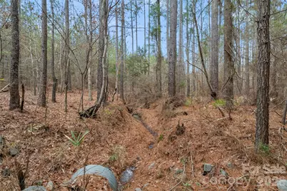 00 Woods Ferry Road, Carlisle, SC 29013 - Photo 24