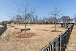 1109 Mayapple Wy, Belmont, NC 28012 - Photo 40