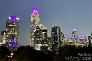 301 W 10th St, Charlotte, NC 28202 - Photo 32