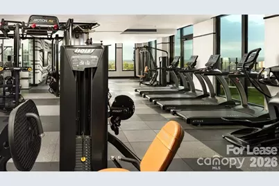 124 E Kingston Avenue #S2, Charlotte, NC 28203 - Photo 12