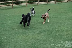 143 Greenridge Rd, Clover, SC 29710 - Photo 40