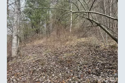 000 Rosalie Lane #5, Waynesville, NC 28785 - Photo 4