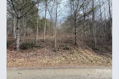 000 Rosalie Lane #5, Waynesville, NC 28785 - Photo 1