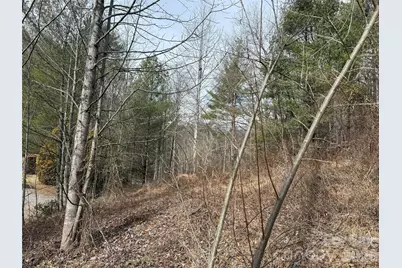 000 Rosalie Lane #5, Waynesville, NC 28785 - Photo 6