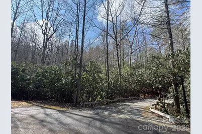 000 Falls Creek Court, Pisgah Forest, NC 28768 - Photo 12