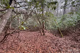 000 Falls Creek Ct, Pisgah Forest, NC 28768 - Photo 1