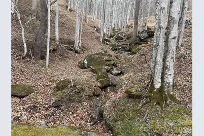 1975 Utah Mountain Road #19, Waynesville, NC 28785 - Photo 6