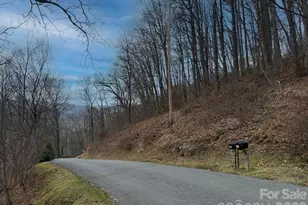 1975 Utah Mountain Rd, Waynesville, NC 28785 - Photo 1