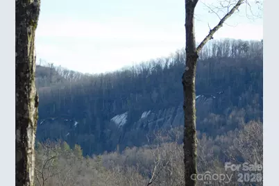 154 Laurel Thicket Drive #98, Brevard, NC 28712 - Photo 14