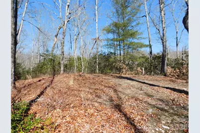 154 Laurel Thicket Drive #98, Brevard, NC 28712 - Photo 12