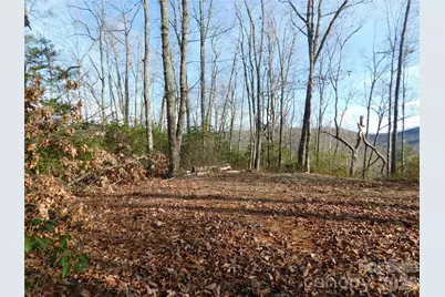 154 Laurel Thicket Drive #98, Brevard, NC 28712 - Photo 2