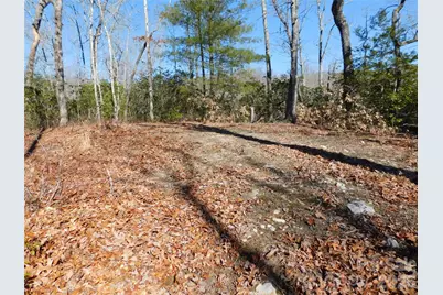 154 Laurel Thicket Drive #98, Brevard, NC 28712 - Photo 8