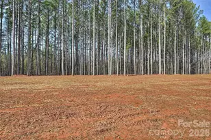 2295 Lee Lawing Rd, Lincolnton, NC 28092 - Photo 40