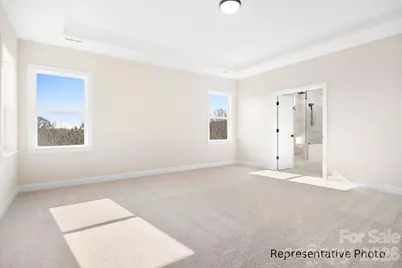 4172 Millstream Road #137, Denver, NC 28037 - Photo 20