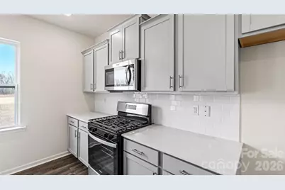 835 Adelston Lane, Asheville, NC 28804 - Photo 4