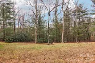 29 Saddle Top Rd, Flat Rock, NC 28731 - Photo 40