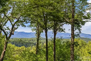 796 Hawk Mountain Rd, Lake Toxaway, NC 28747 - Photo 32