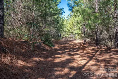 6235 Hwy 18 None S, Morganton, NC 28655 - Photo 8