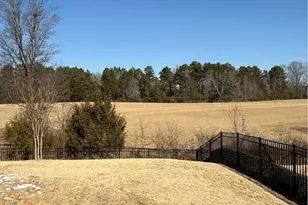 119 Abersham Dr, Mooresville, NC 28115 - Photo 2