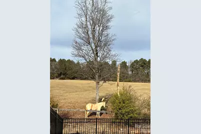 119 Abersham Drive, Mooresville, NC 28115 - Photo 42