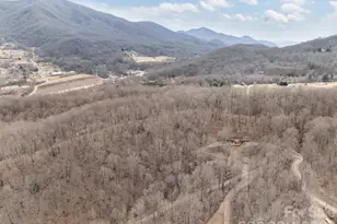 193 Tipstill Cove, Waynesville, NC 28786 - Photo 44