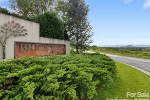 234 Brickton Village Cir, Fletcher, NC 28732 - Photo 32