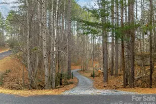 201 Hawk Ridge Dr, Mill Spring, NC 28756 - Photo 40