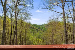 120 Wilderness Dr, Weaverville, NC 28787 - Photo 20