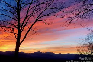 168 SkyView Cir, Asheville, NC 28804 - Photo 4