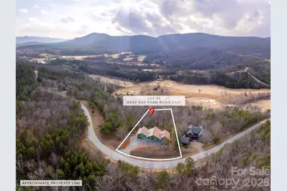 788 E Deep Gap Farm Road, Mill Spring, NC 28756 - Photo 12