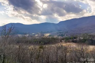 788 E Deep Gap Farm Rd, Mill Spring, NC 28756 - Photo 10