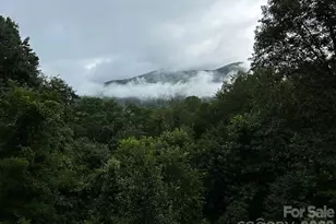 102 Sanctuary Rd, Maggie Valley, NC 28751 - Photo 46