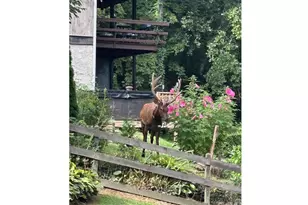 102 Sanctuary Rd, Maggie Valley, NC 28751 - Photo 32