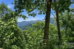 5 Lila Ln, Clyde, NC 28721 - Photo 38
