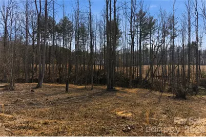 00 McCurry Farm Lane #D, Lincolnton, NC 28092 - Photo 32